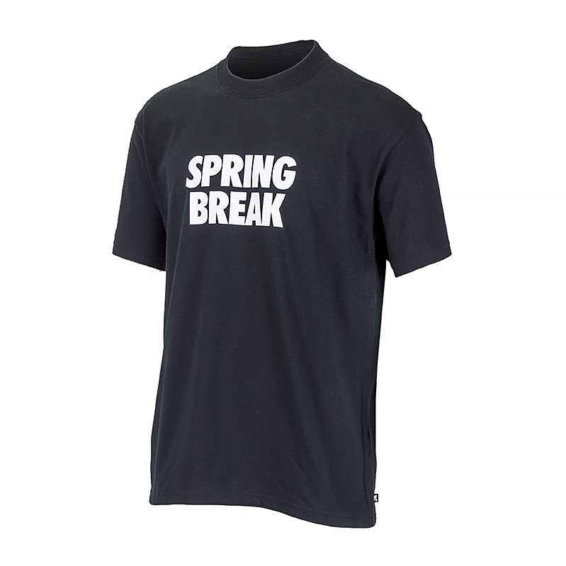 Футболка Nike SB TEE SPRING BREAK L, фото №1
