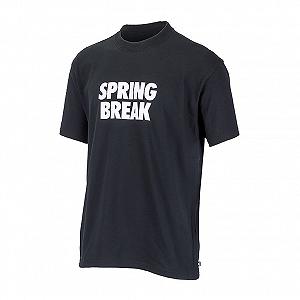 Футболка Nike SB SPRING BREAK XL - Фото 1