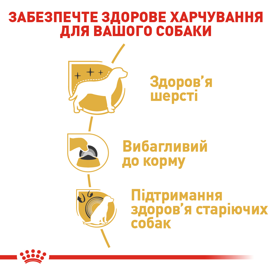 Сухой полнорационный корм для взрослых собак породы йоркширский терьер Royal Canin Yorkshire Terrier Adult в возрасте 10 месяцев и старше 7.5 кг 3182550716925 3051075, фото №5