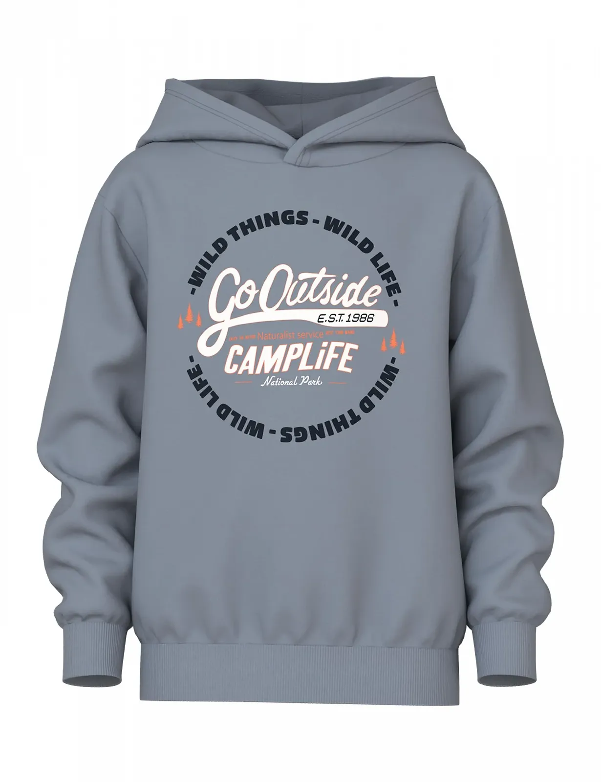 Худі NAME IT Regular Fit для хлопчика, фото №1