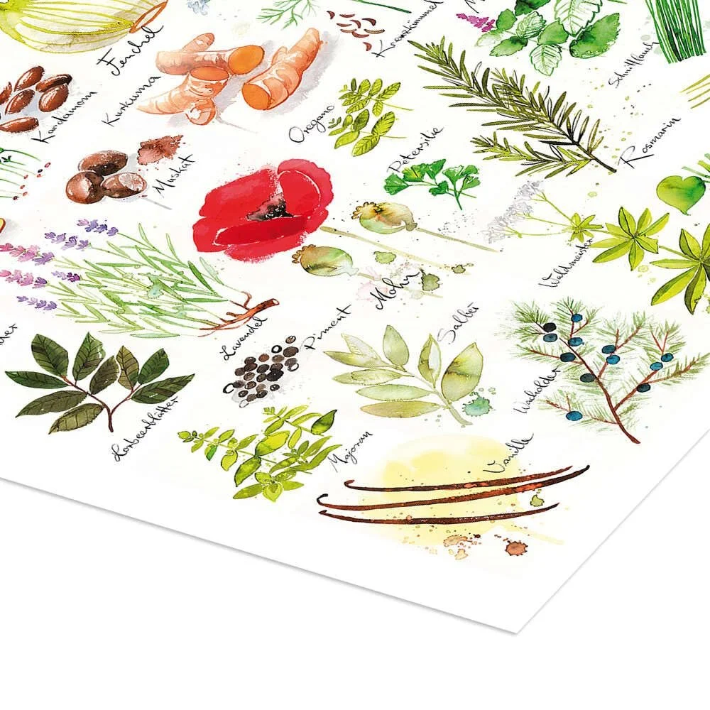 Постер Andreas Hirsch Herbs & Spices 50 x 70 см, фото №3