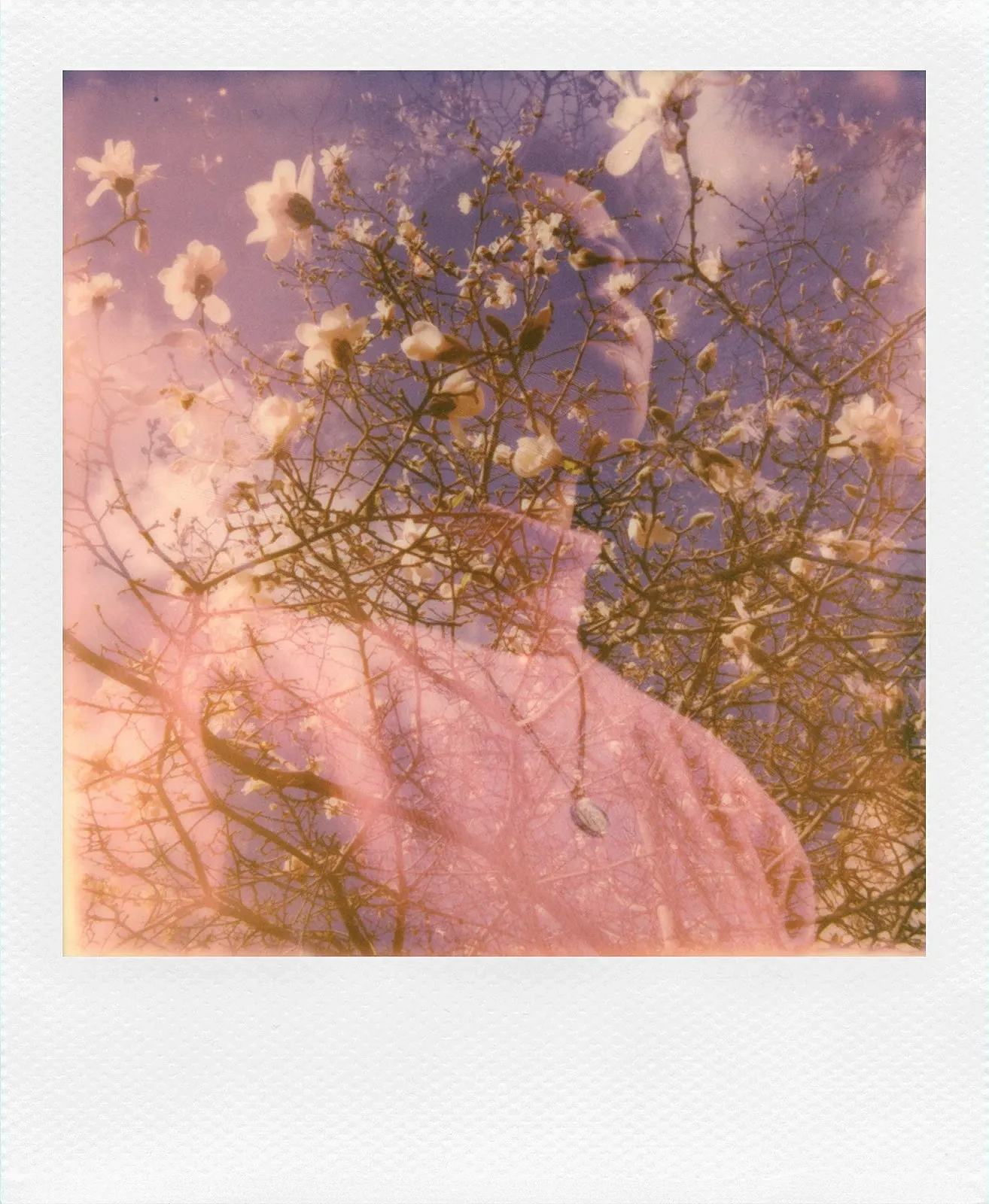 Фотокамера мгновенной печати MAGIX Audio & Music Lab (Polaroid Now), фото №9