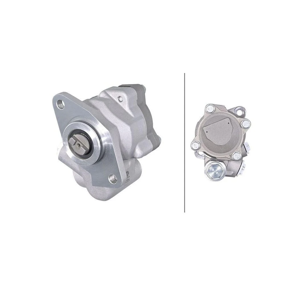 Насос гидроусилителя руля HELLA 8TL 359 003-941 для MAN, фото №1