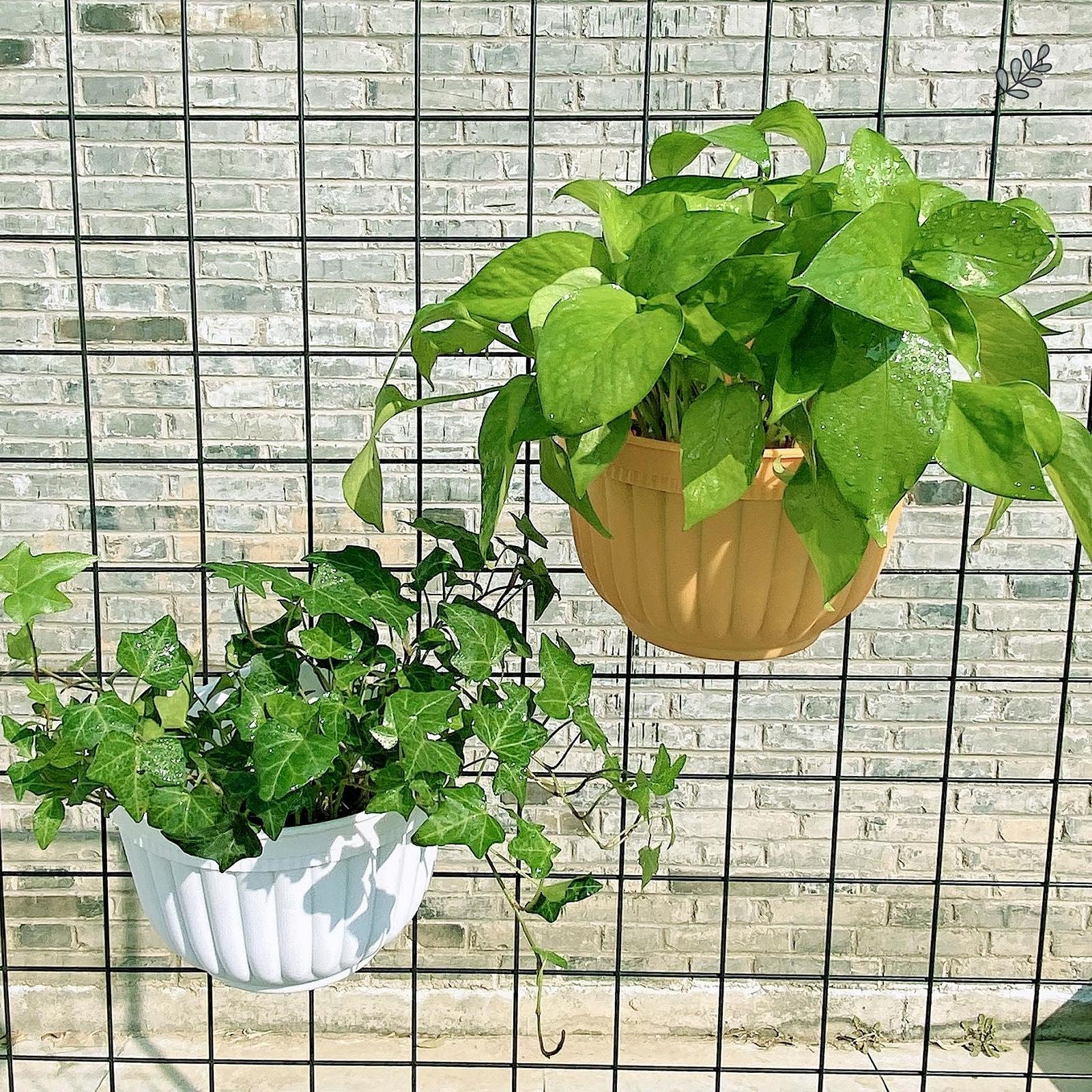 Набір настінних підвісних кашпо Amazing Creation напівкруглі пластикові для балкона та паркану 6 шт Білі, фото №3