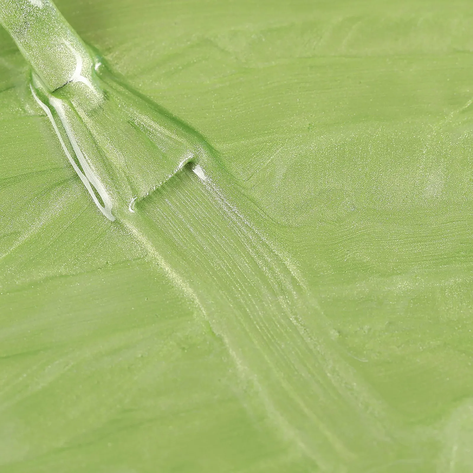 Гель-лак Bluesky Summer Collection 2021 Speak The Words Ss2123, 10 мл, светло-зеленый, бледный, пастельный, с шиммером, фото №6