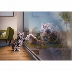 Пазл 1000 деталей Cat & Tiger DIY - Фото 1