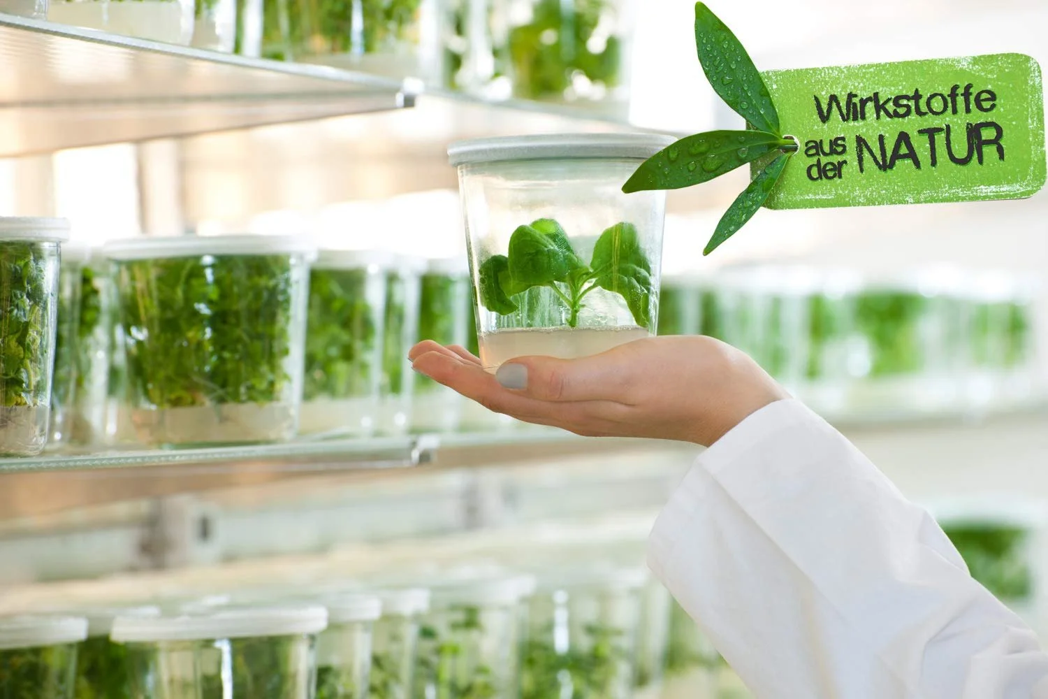 Спрей для росту волосся HairTune 2-в-1 Алое Вера 100 мл, фото №3 Спрей для росту волосся HairTune 2-в-1 Алое Вера 100 мл, фото №3