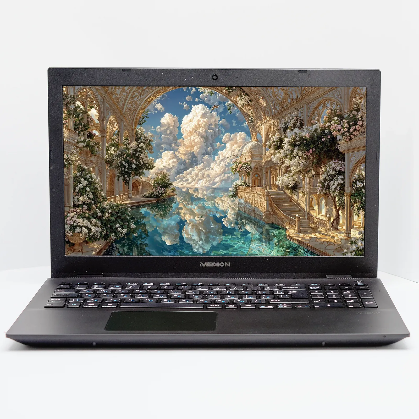 Ноутбук 15.6'' Medion (Lenovo Group) Akoya P6685 Intel Core i5-8250U RAM 8 ГБ SSD 128 ГБ + HDD 1 ТБ Nvidia GeForce Win10 (4864), фото №1