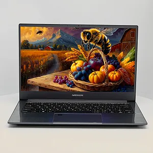 Ноутбук 14" Medion (Lenovo Group) X1T Core i5-1135G7 RAM 8 ГБ SSD 512 ГБ Iris Xe Graphics Металевий корпус - Фото 1