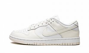Кросівки баскетбольні чоловічі Nike Dunk Low W - Фото 1