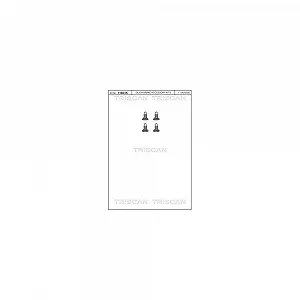 Комплект болтов тормозного диска TRISCAN 8105 116004 для MERCEDES-BENZ NISSAN OPEL - Фото 1