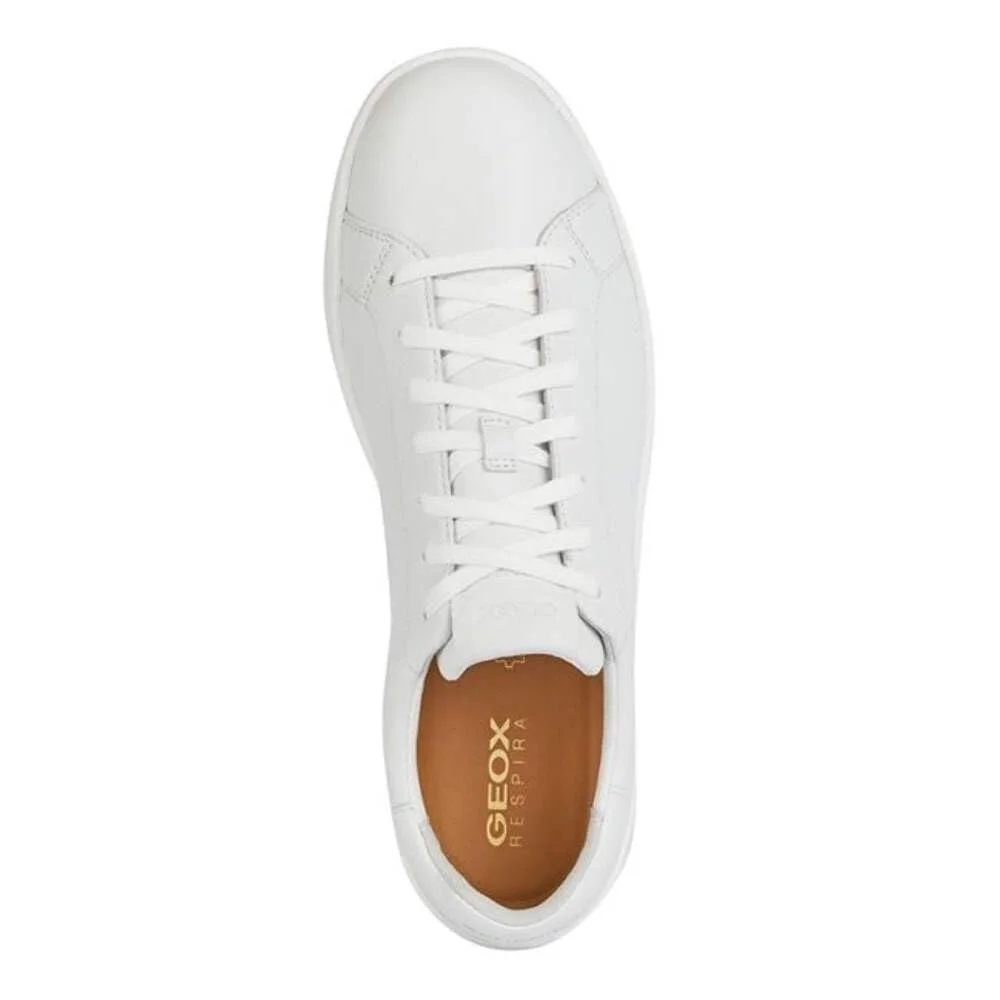 Кросівки Geox Low Spherica, фото №4 Кросівки Geox Low Spherica, фото №4