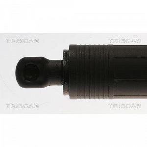 Амортизатор багажника TRISCAN 8710 20301 для PORSCHE synthetic.ua - Фото 1