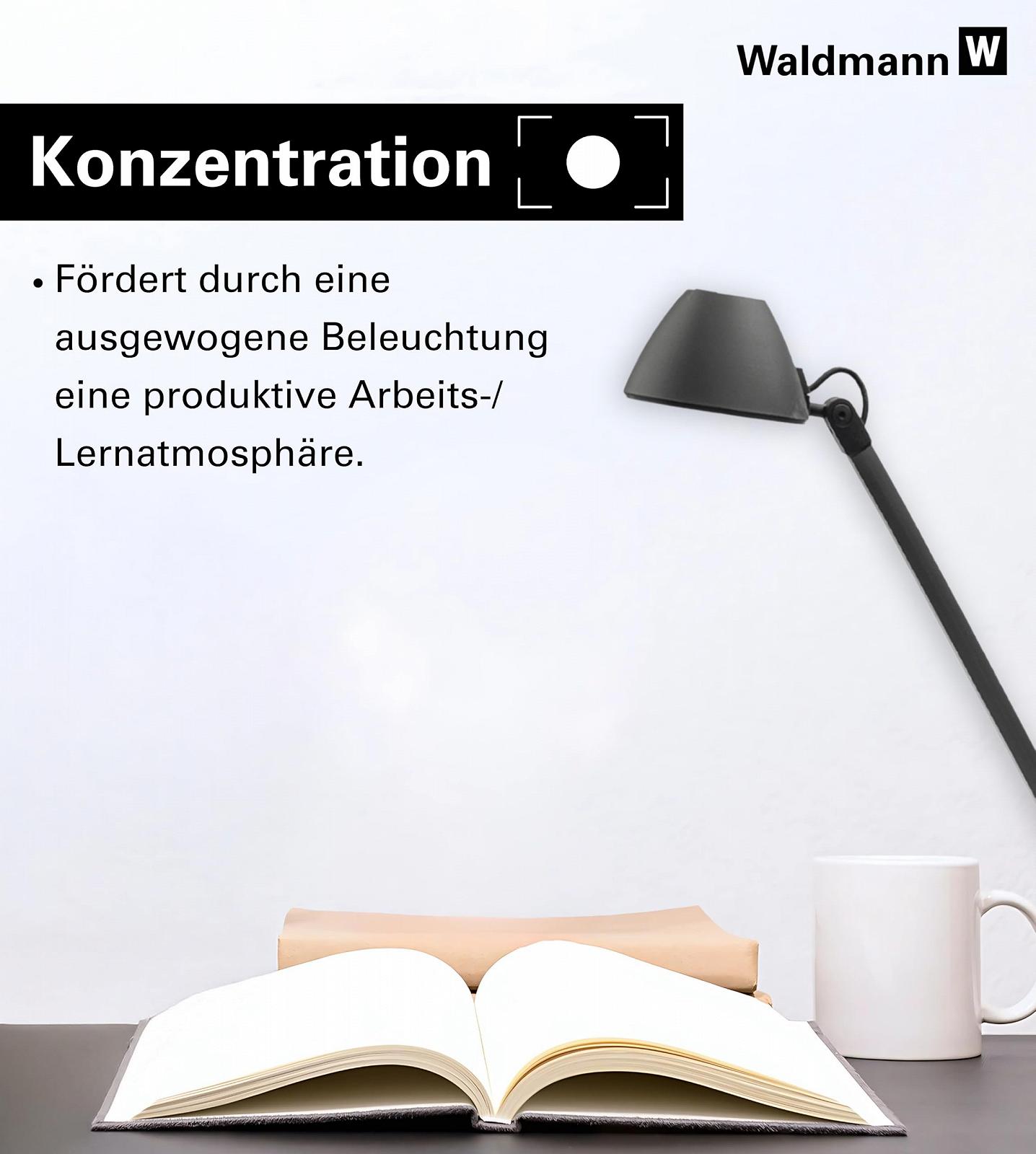 Настільна лампа Waldmann Lucio Home LED 4000 K (Limited Edition), фото №7