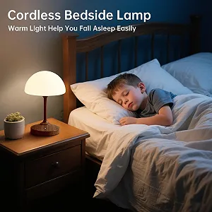 Настольная лампа Dawnwake LED Mushroom аккумуляторная 5000 mAh сенсорная Walnut synthetic.ua - Фото 1