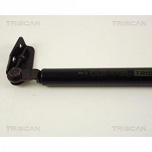 Газліфт багажника TRISCAN 8710 50219 для MAZDA, правий synthetic.ua - Фото 1