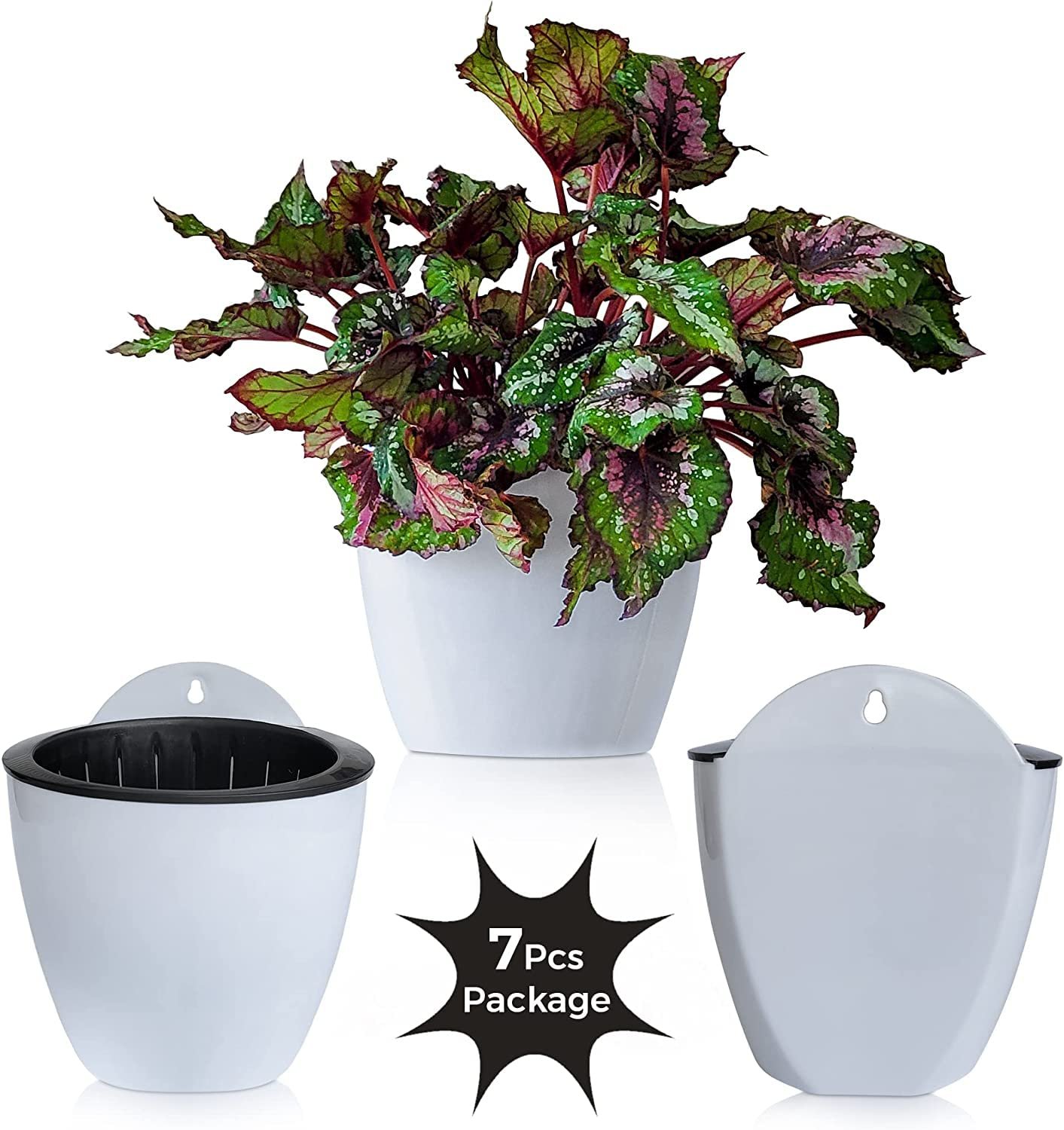 Підвісний настінний горщик ShoppeWatch PL34 З автополивом 5" 7 шт., фото №2 Підвісний настінний горщик ShoppeWatch PL34 З автополивом 5" 7 шт., фото №2