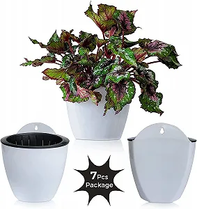 Подвесной настенный горшок ShoppeWatch PL34 С автополивом 5" 7 шт. synthetic.ua - Фото 1