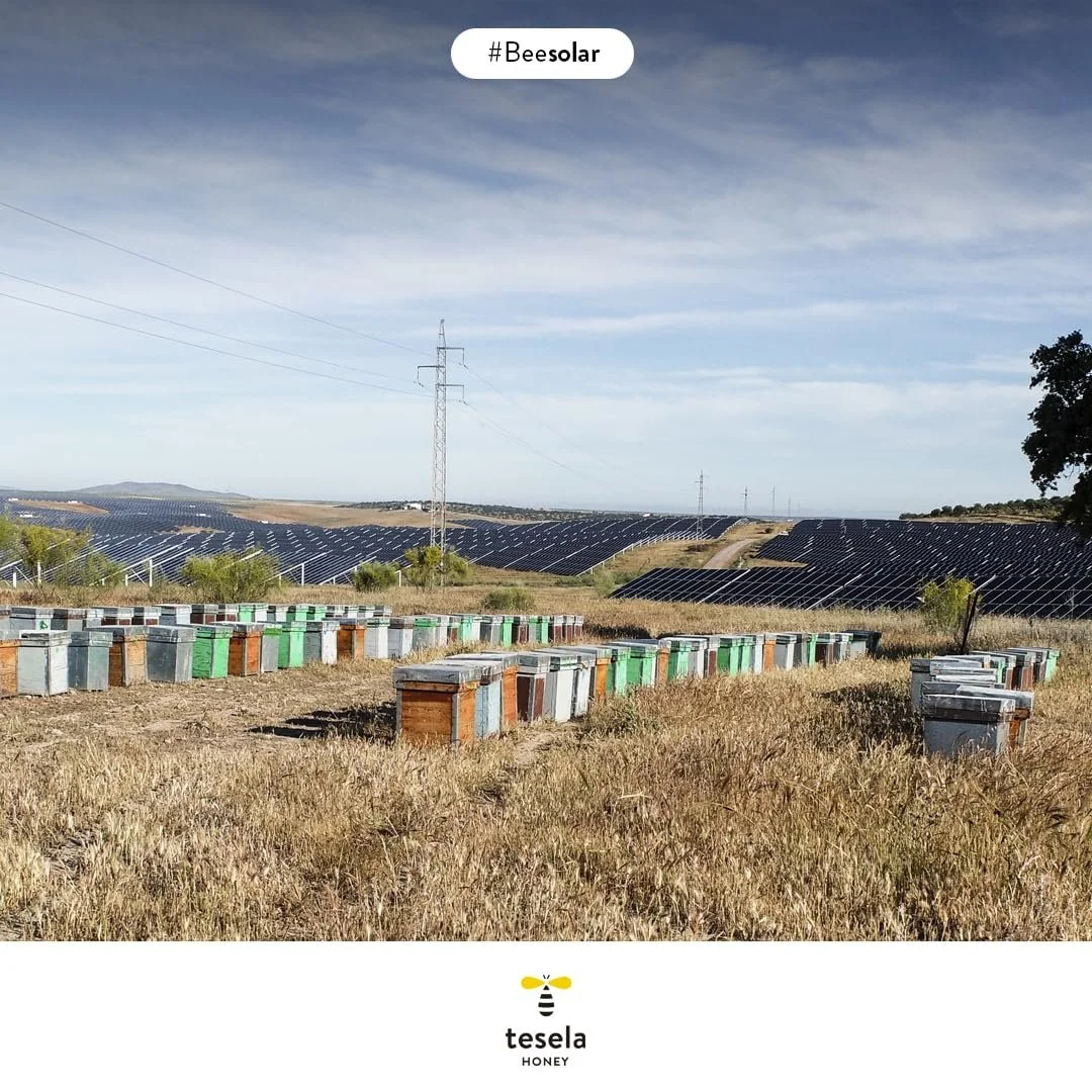 Денний крем для обличчя Tesela Natura з чистим медом для нормальної та комбінованої шкіри 30 мл (Цвіт апельсина), фото №3