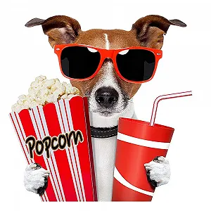 Сонцезахисні окуляри LFYXCW Набір 12 пар Різнокольорові (6 кольорів) synthetic.ua - Фото 1