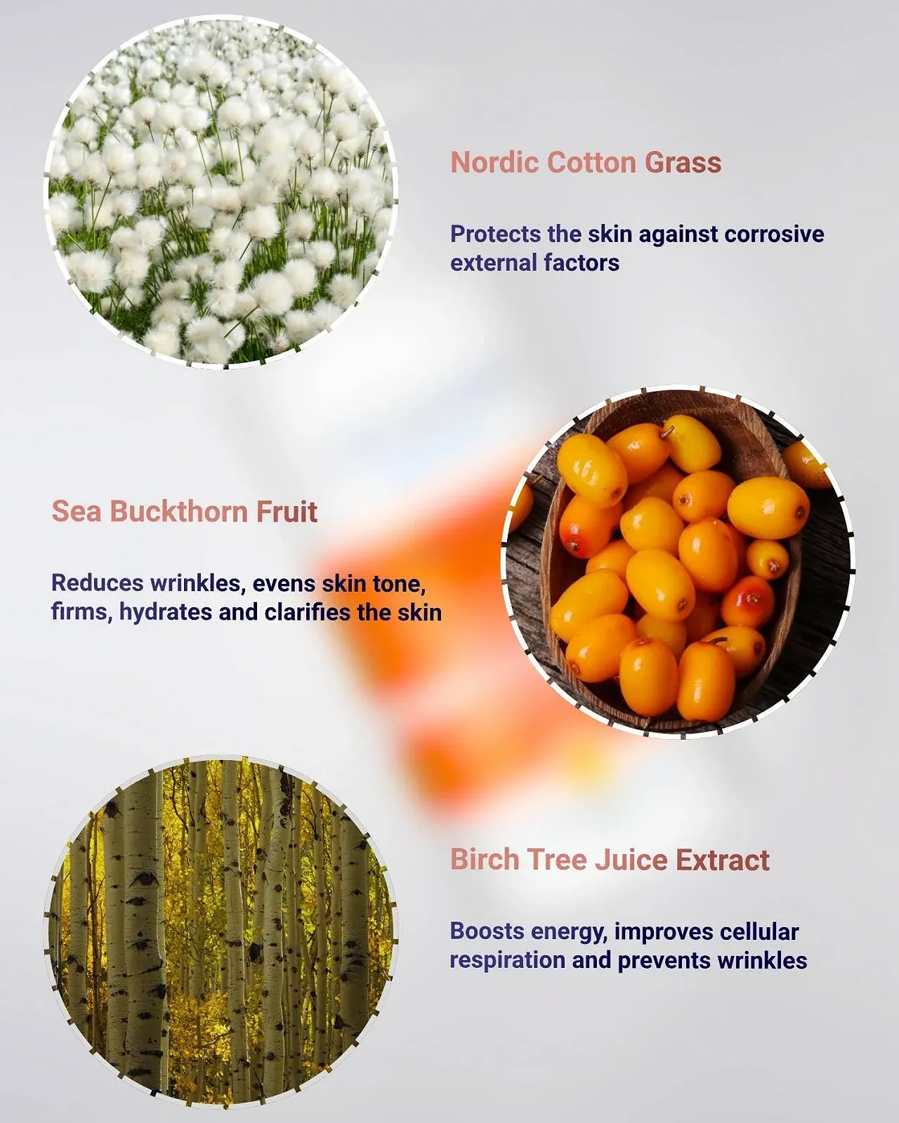 Лосьйон для тіла Celenes by Sweden обліпиха та вітамін C, 2 шт. по 200 мл, фото №4