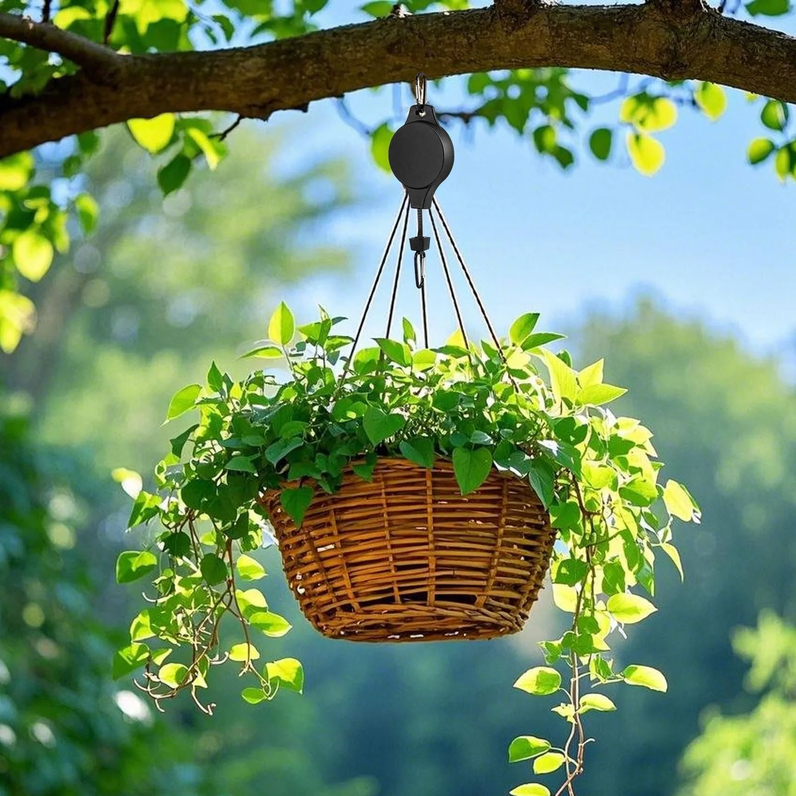 Регульовані ролики для рослин Pack of 2 Black, фото №4 Регульовані ролики для рослин Pack of 2 Black, фото №4