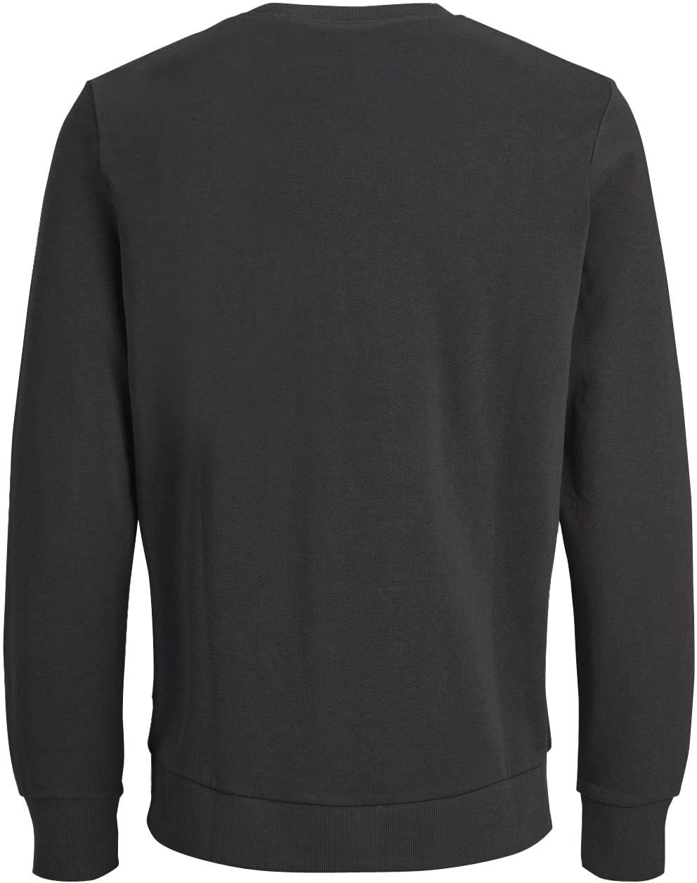 Свитшот Jack & Jones Jjeholmen мужской, с круглым вырезом, Noos, 12136886, фото №2