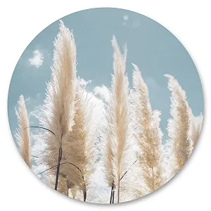 Наклейка на стіну Muralo Кругла Пампасна трава Рослини 3D 100 x 100 см - Фото 1
