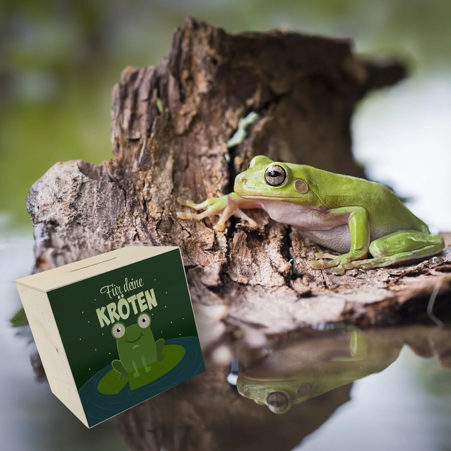 Скарбничка дерев'яна з жабою та написом «Für Deine Kröten», фото №6