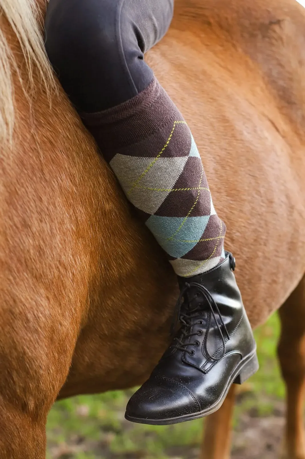 Шкарпетки TippTexx24 Верхова їзда в клітинку, 2 пари, фото №4 Шкарпетки TippTexx24 Верхова їзда в клітинку, 2 пари, фото №4