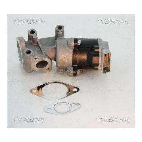 Клапан EGR TRISCAN 8813 10008 для CITROËN JAGUAR PEUGEOT LAND ROVER, задний, фото №2