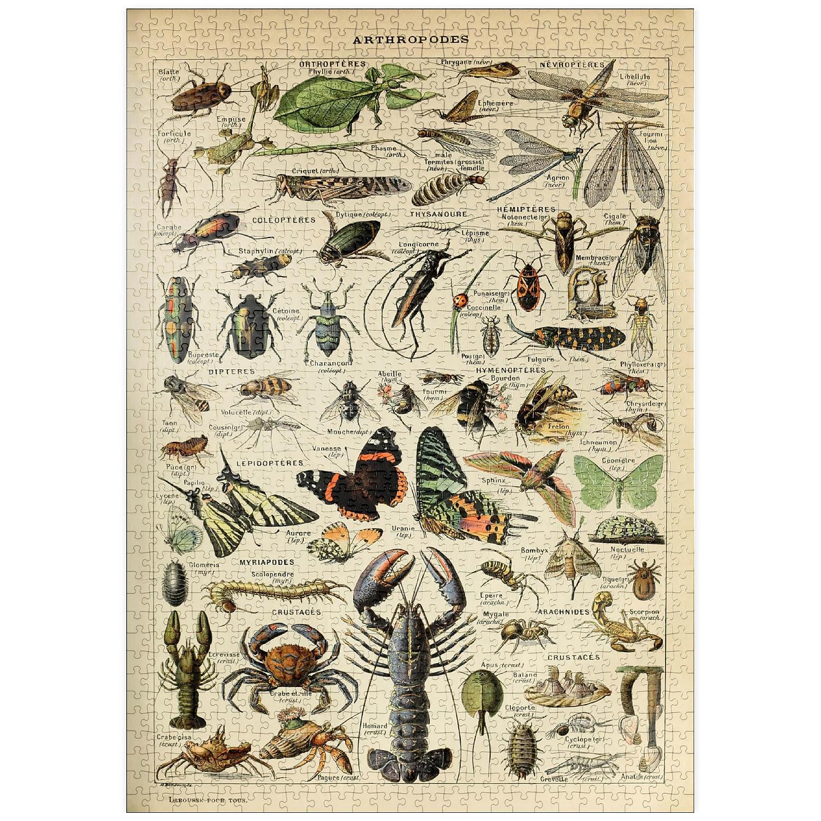 Пазлы MyPuzzle Special Collection Adolphe Millot Arthropods for Everyone 1000 элементов премиум, фото №1