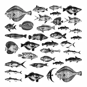 Наклейка на стіну GRAZDesign Набір риб у вінтажному стилі для ванної synthetic.ua - Фото 1