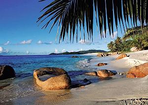 Пазл Ravensburger Under Palm Trees 1000 элементов synthetic.ua - Фото 1