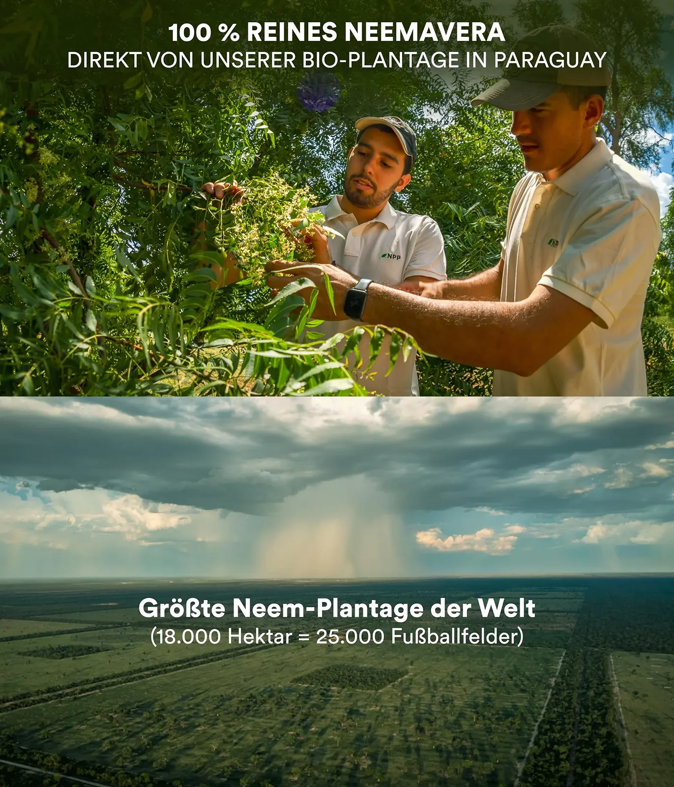 Бальзам для нігтів NeemAVERA з екстрактом німу 15 мл, фото №5