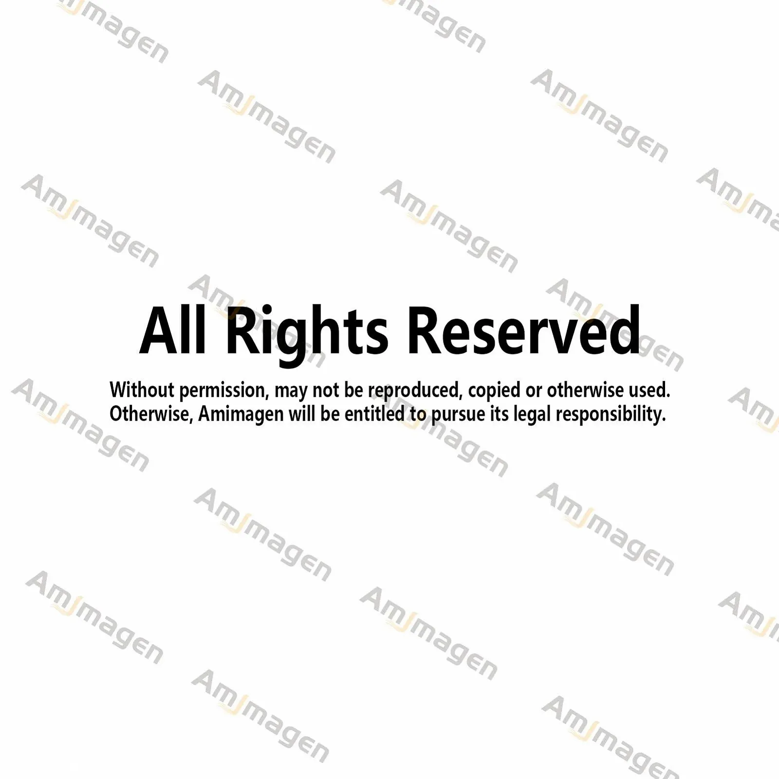 Настінна наклейка Amimagen Lion Plane PVC matte, фото №6