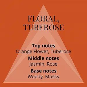 Парфумована вода UTC Hawaii 55 мл ціна на synthetic.ua - Фото 1 Парфумована вода UTC Hawaii 55 мл synthetic.ua - Фото 1