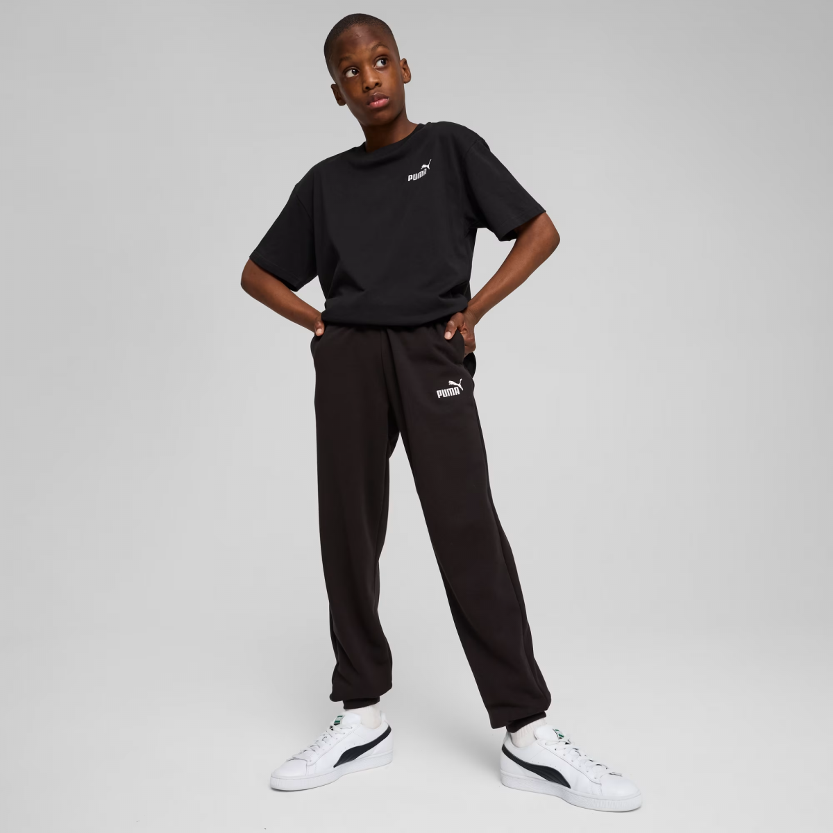 Штаны Puma ESS No. 1 Logo Sweatpants TR 68491401 Черный L, фото №3