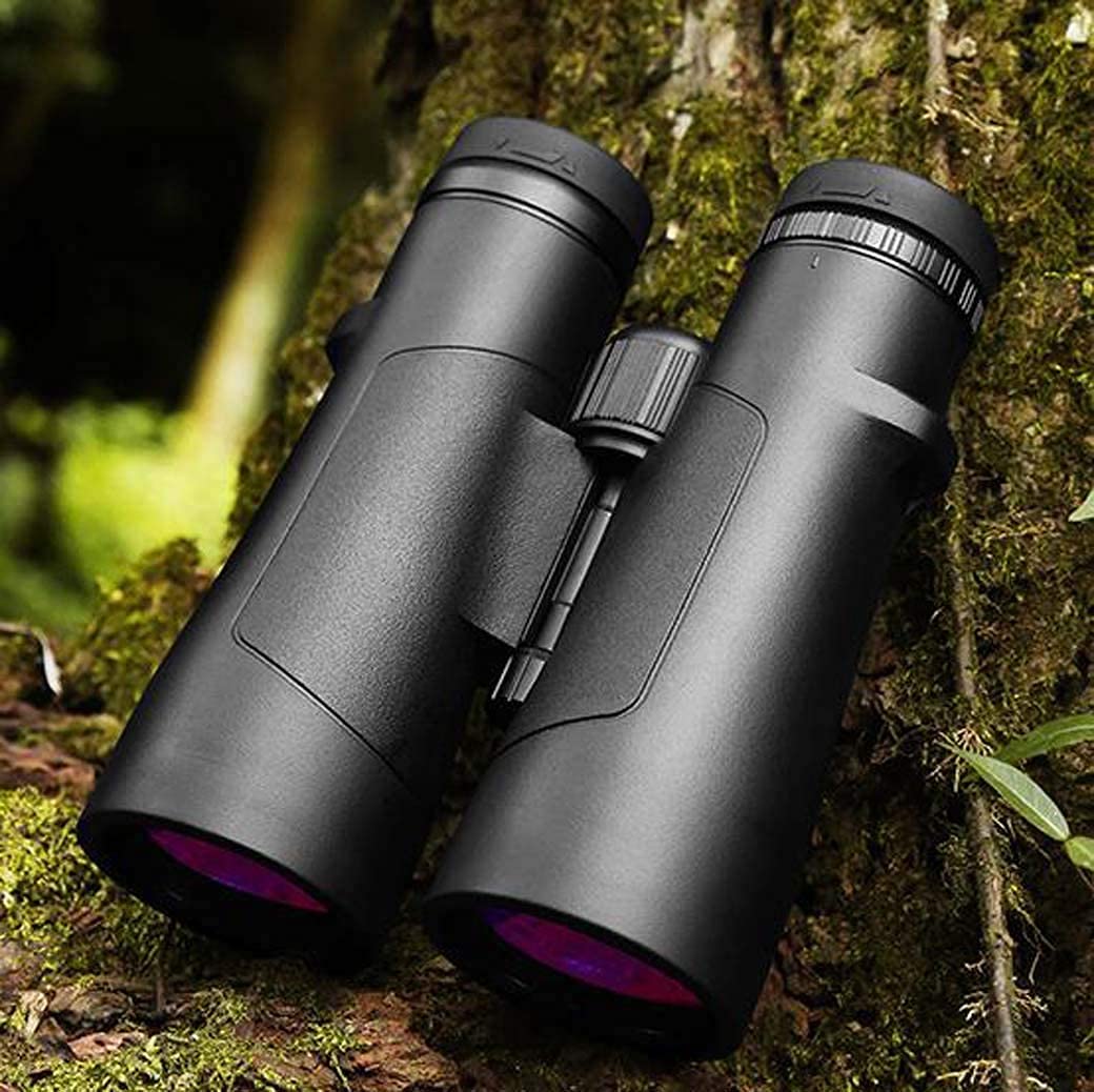 Бінокль DERBUT Professional 10x42 | 50 HD з низьким рівнем світла, нічним баченням, водонепроникний, з великим окуляром, водонепроникний, пряма Ed лінза, фото №3