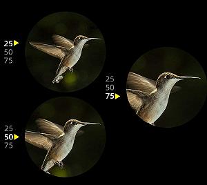 Монокуляр WANWEN Vogelbeobachtungs 25-75x Zoom 70 мм HD FMC Ваk4-призма Низьке світло Великий штатив Little Surprise synthetic.ua - Фото 1