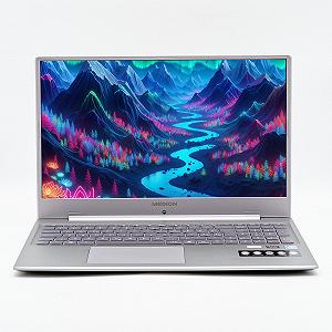 Ноутбук 17,3" Medion (Lenovo Group) Akoya E17201 Intel RAM 8 ГБ SSD 256 ГБ Intel Graphics Метал FullHD IPS Win10 (4377) - Фото 1