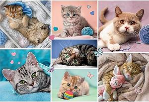 Пазл Trefl In the Cat World 100 элементов 5+ synthetic.ua - Фото 1