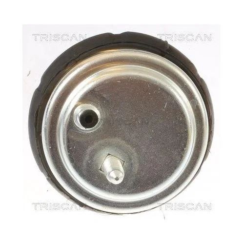 Опора двигателя TRISCAN 8505 11102 для BMW, правая, фото №2