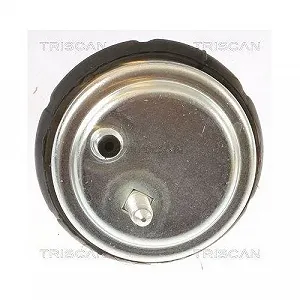 Опора двигателя TRISCAN 8505 11102 для BMW, правая synthetic.ua - Фото 1