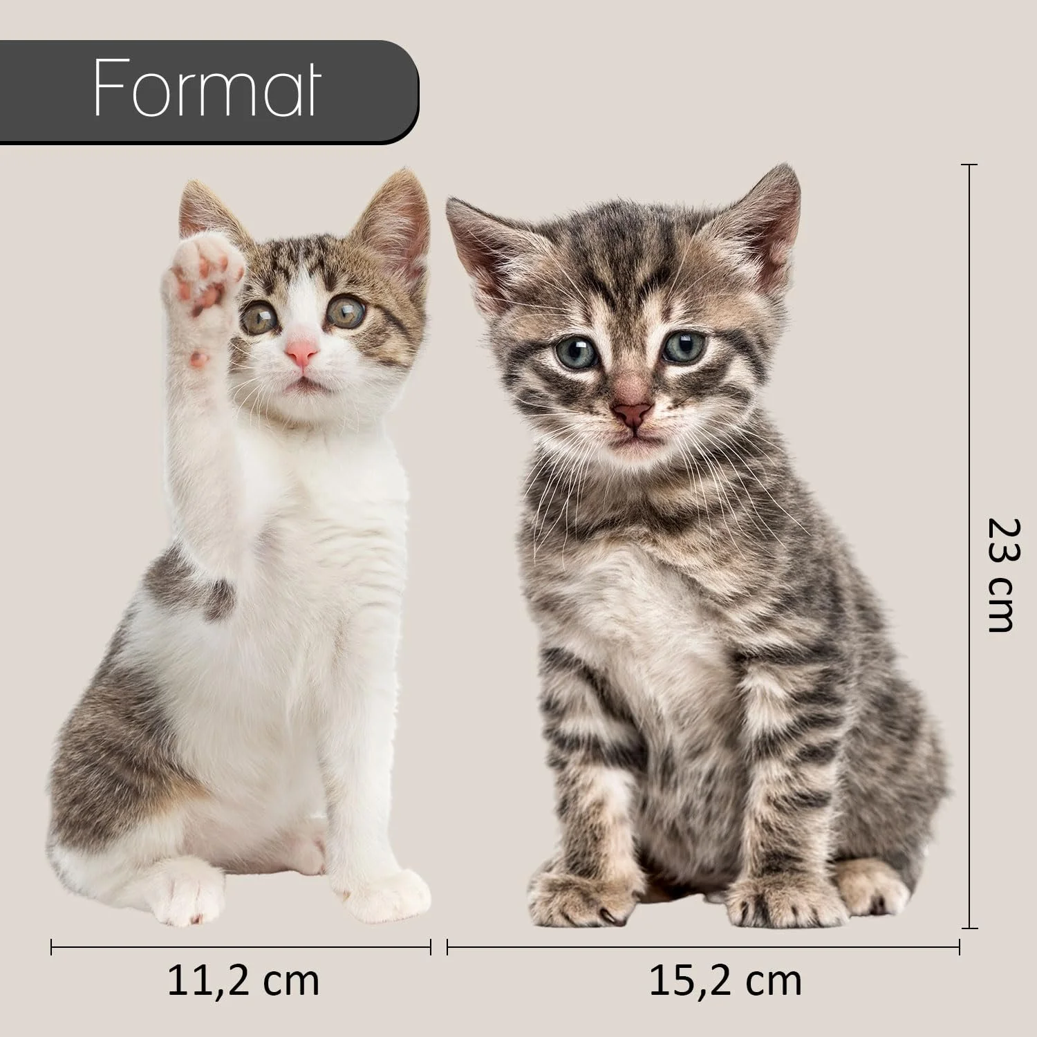 Набір наклейок dv1032 Cat Baby 2 шт. коричневий та білий, фото №2