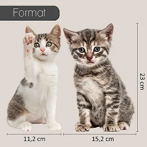 Набір наклейок dv1032 Cat Baby 2 шт. коричневий та білий synthetic.ua - Фото 1