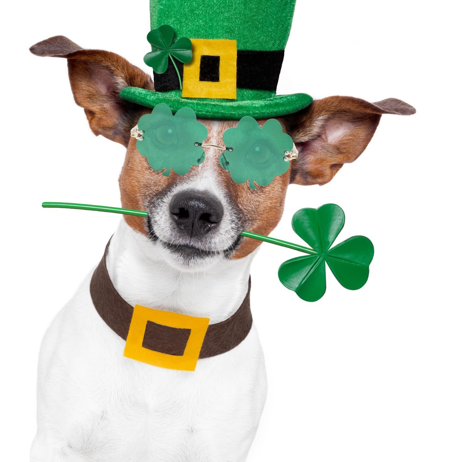 Сонцезахисні окуляри Зелений XIHIRCD 2 парb, фото №6