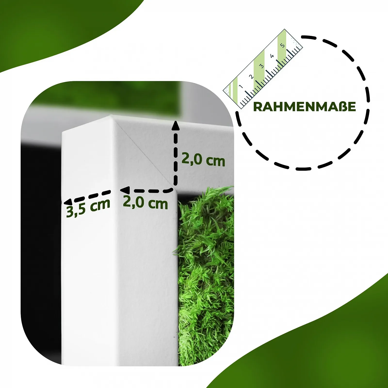 Картина з моху Moss Picture Ball & Slab Moss Дерев'яна рама 110 x 55 см Чорний, фото №5 Картина з моху Moss Picture Ball & Slab Moss Дерев'яна рама 110 x 55 см Чорний, фото №5