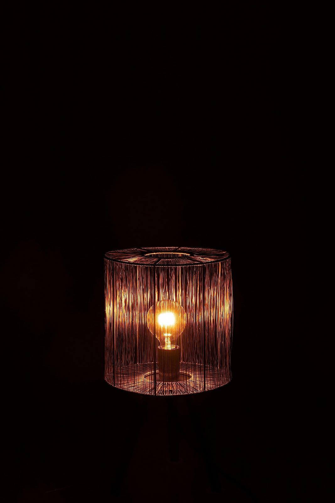 Настільна лампа J-Line Antique Metal Small Brown, фото №3