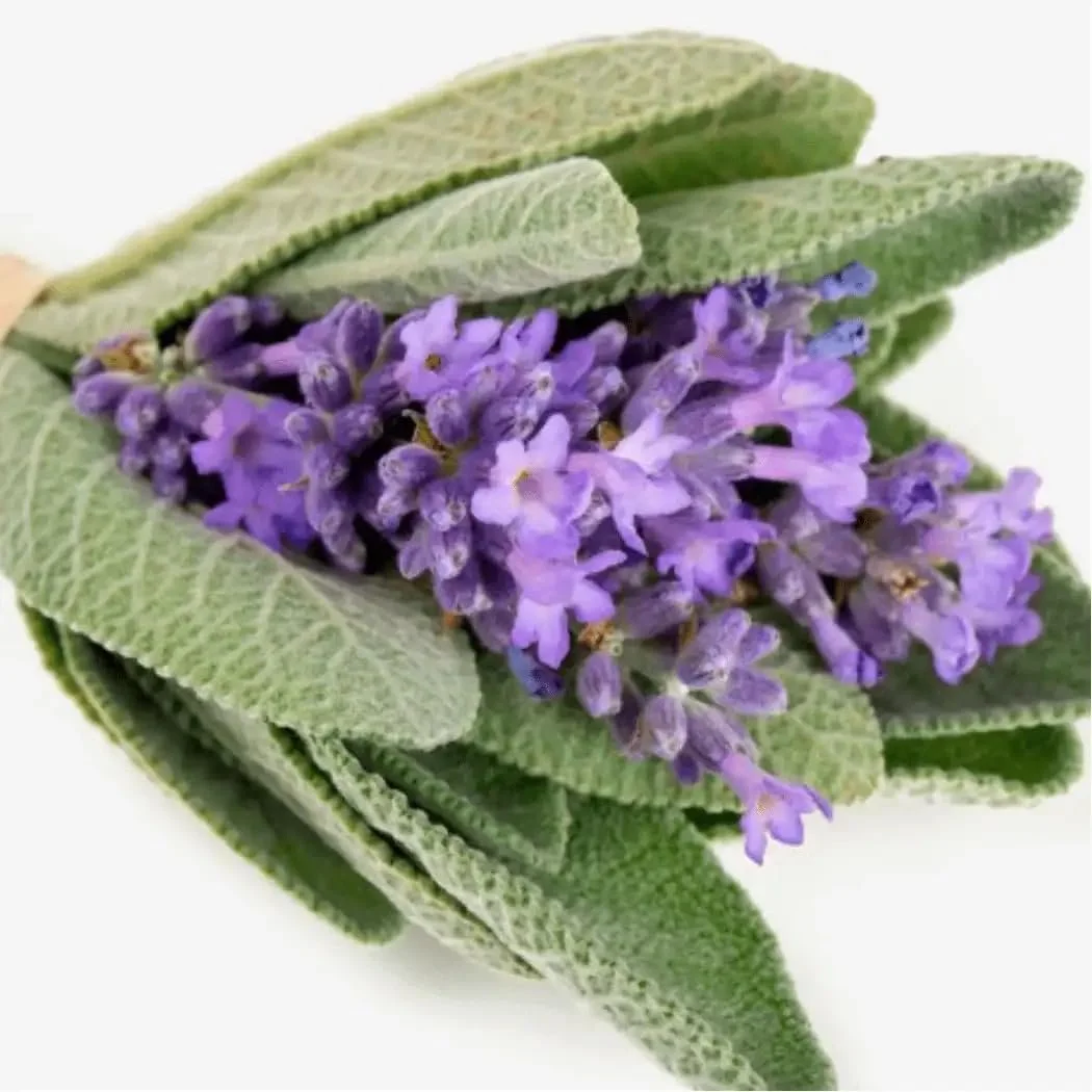 Парфумована вода Yodeyma Wow Scent 50 мл, фото №4